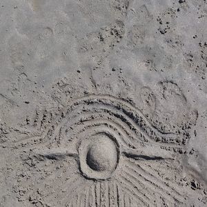 Meet your Posher, Beau